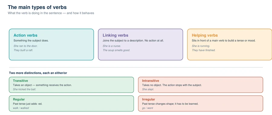 Chart of the main types of verbs: action, linking and helping verbs, with transitive against intransitive and regular against irregular