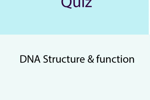 DNA Structure and Function